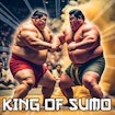 Sumo-kungen