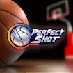 Perfekt skott